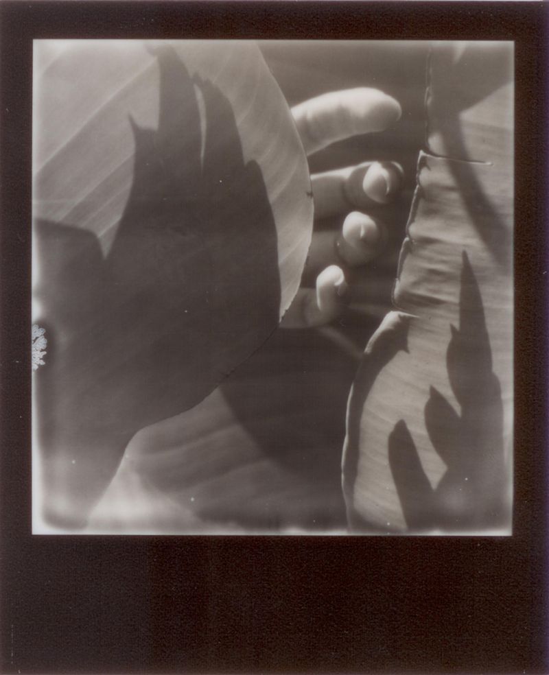 © Emily Lindsay Brown - The Intercept