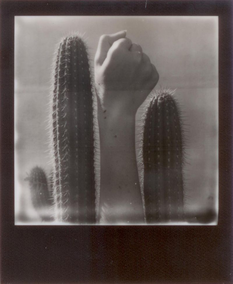 © Emily Lindsay Brown - The Punch