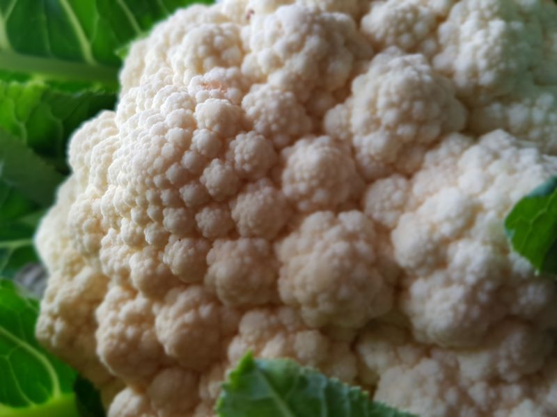 © Emily Lindsay Brown - In lockdown, we have time to notice when perfection emerges from the quotidian.