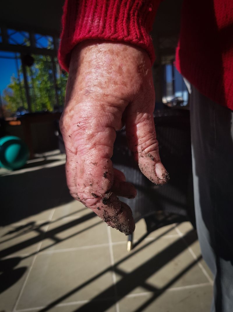 © Emily Lindsay Brown - In lockdown, we plant the seeds we want to flourish - and hope the Earth can bear them.