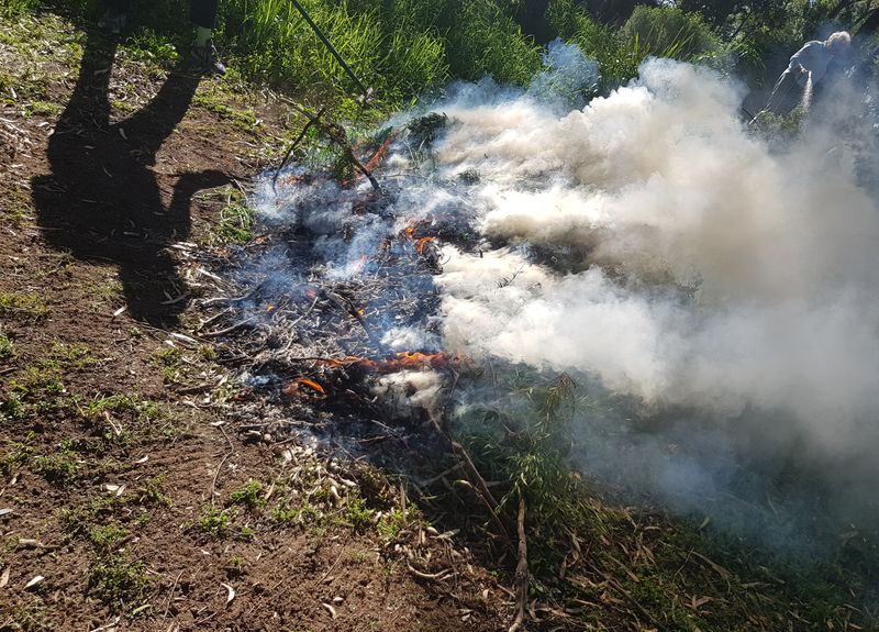 © Emily Lindsay Brown - In lockdown, we make a burn pile and set it alight.