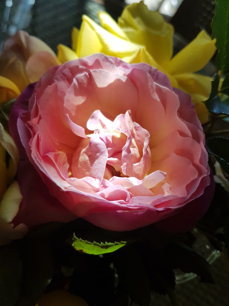 © Emily Lindsay Brown - In lockdown, time unfolds at a different pace.