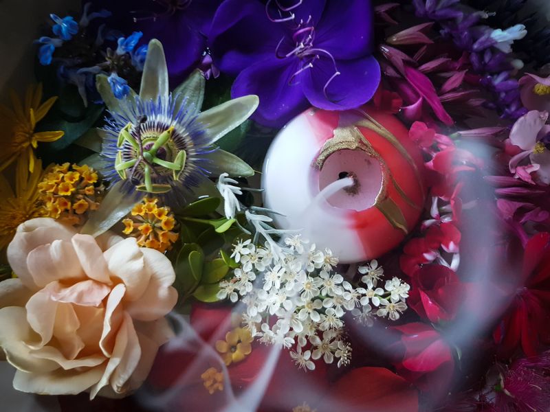 © Emily Lindsay Brown - In lockdown, the delicacy and diversity of flowers brought in from outside seems sacred.