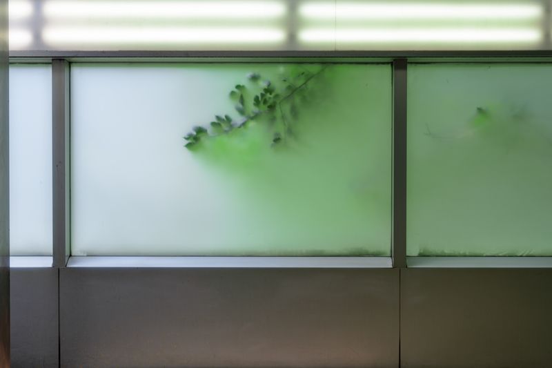 © Jingwen Cao - Image from the Winter Solstice photography project