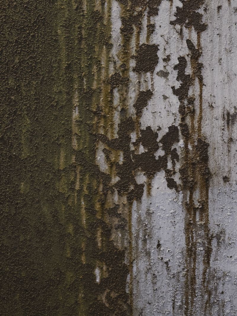 © Jingwen Cao - Image from the Winter Solstice photography project