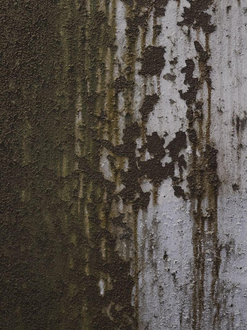© Jingwen Cao - Image from the Winter Solstice photography project