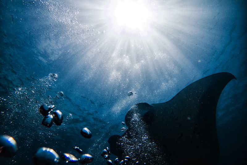 © Manolo Ty - Image from the Tropics & Traditions photography project