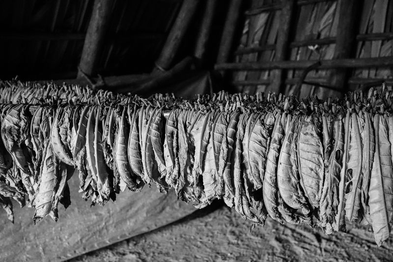 © Valentine Ollawa - Image from the Shadows of Resilience photography project