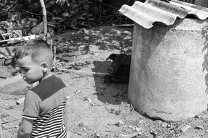 Shadows of Resilience