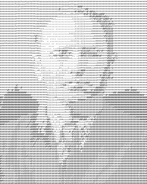 Digital shadows of words