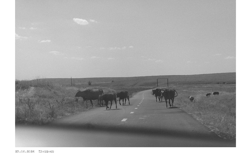 © Yulya Pavlova - Image from the Digital shadows of words photography project