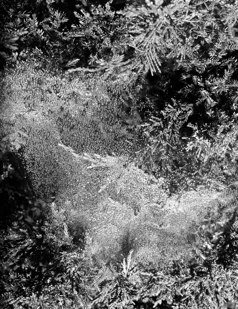 © Andrew D. McClees - Image from the AVALANCHE photography project