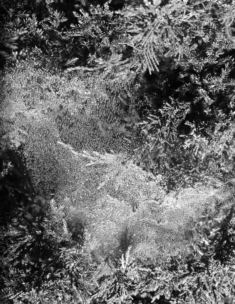 © Andrew D. McClees - Image from the AVALANCHE photography project