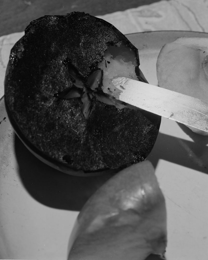 © Andrew D. McClees - 20x16" Silver Gelatin Print