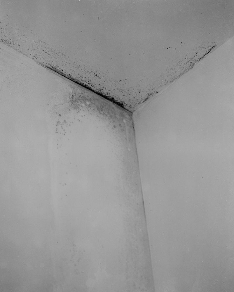 © Andrew D. McClees - Image from the Epilogue to an Avalanche. photography project