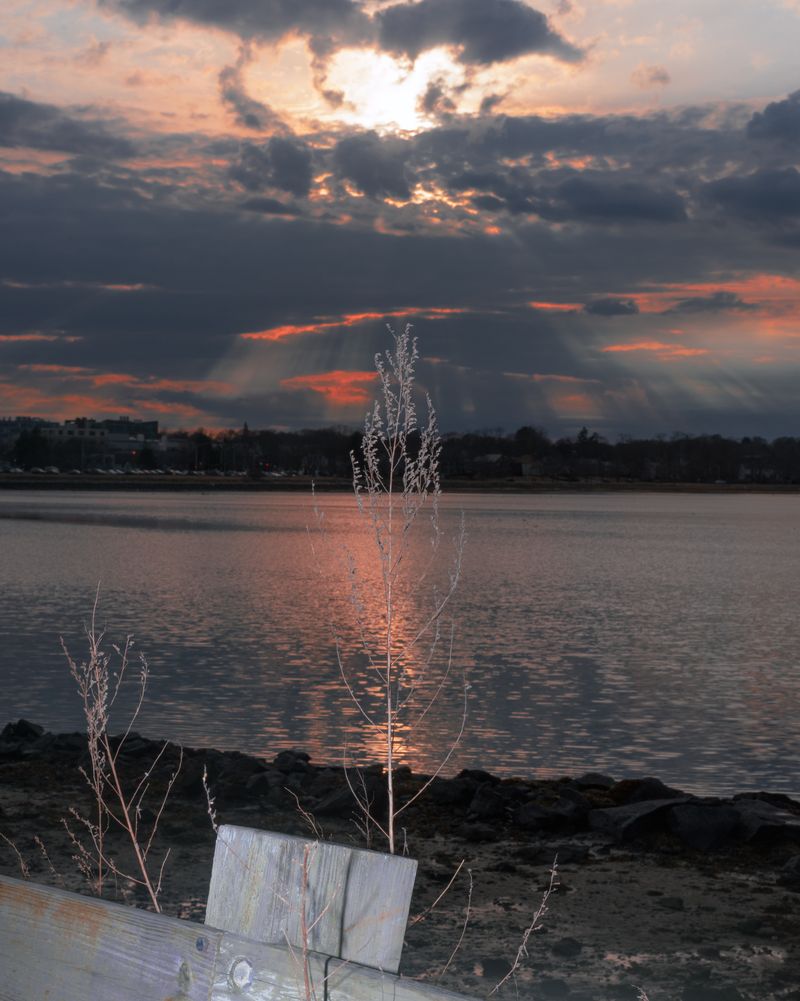 © Andrew D. McClees - Image from the AGARTHA photography project