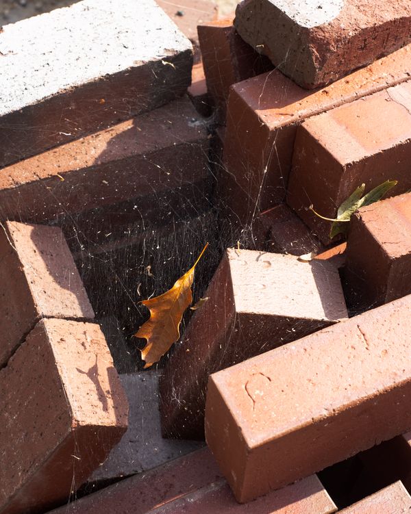 © Andrew D. McClees - Image from the AGARTHA photography project