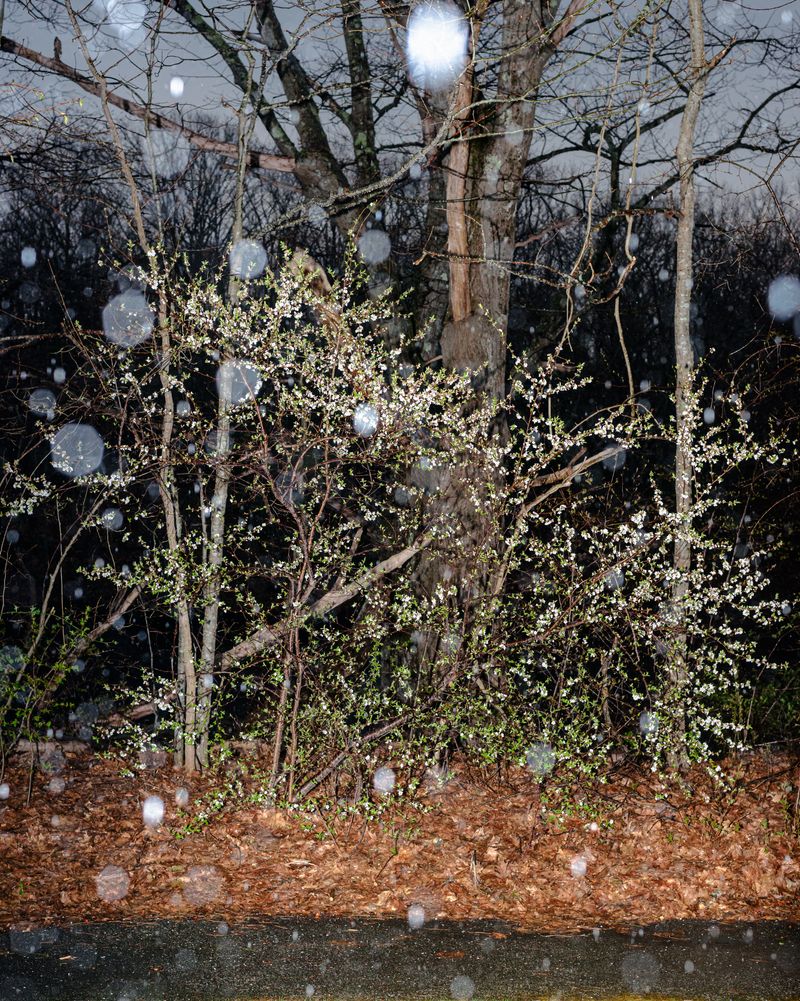 © Andrew D. McClees - Image from the AGARTHA photography project