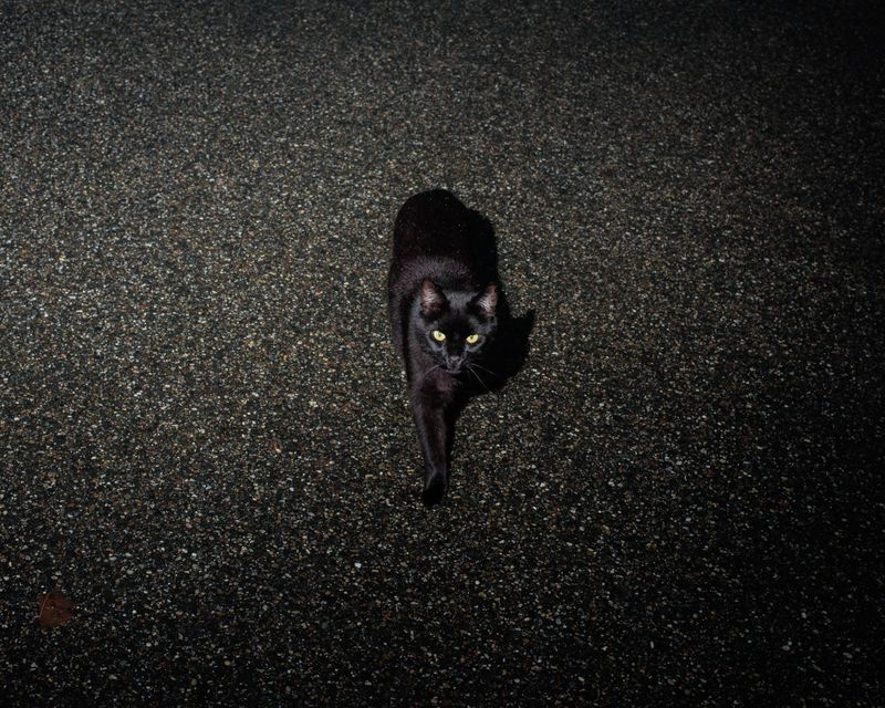 © Andrew D. McClees - Image from the AGARTHA photography project