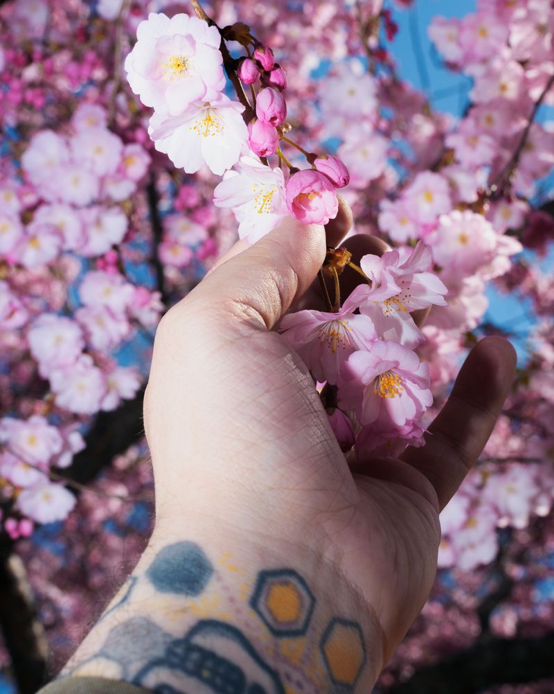 © Andrew D. McClees - Image from the AGARTHA photography project