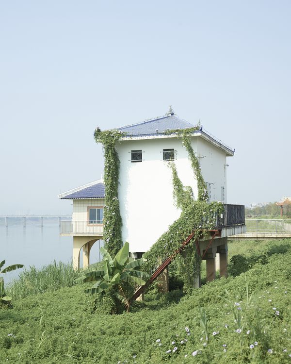 © YANG YANG - A house covered in vines.