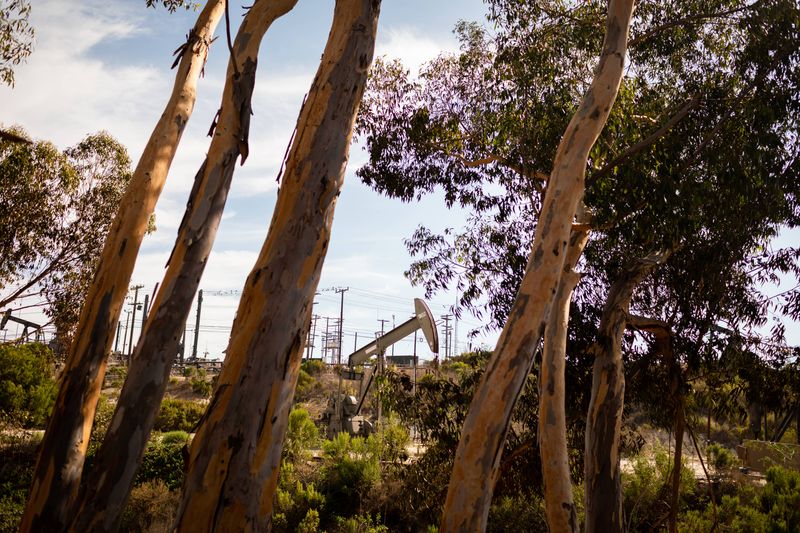 © Tara Pixley - Kenneth Hahn Park is 401 acres of green space located alongside the largest urban oil field in the country.