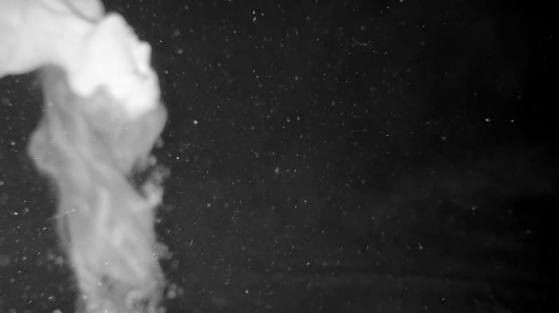 © Nikki Greene - Self Portrait Underwater, Still from Video