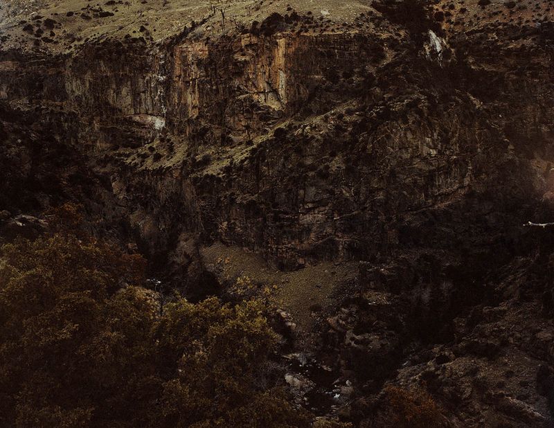© Nikki Greene - Wyoming Mountainside on Portra 4x5