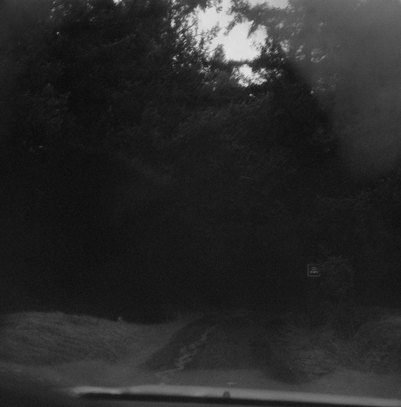© Nikki Greene - Alone in Mendocino, Trix X 120 Film