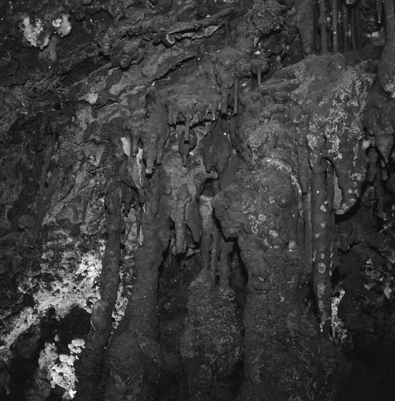 © Nikki Greene - Shenandoah Caverns Dripping on TriX 120 film