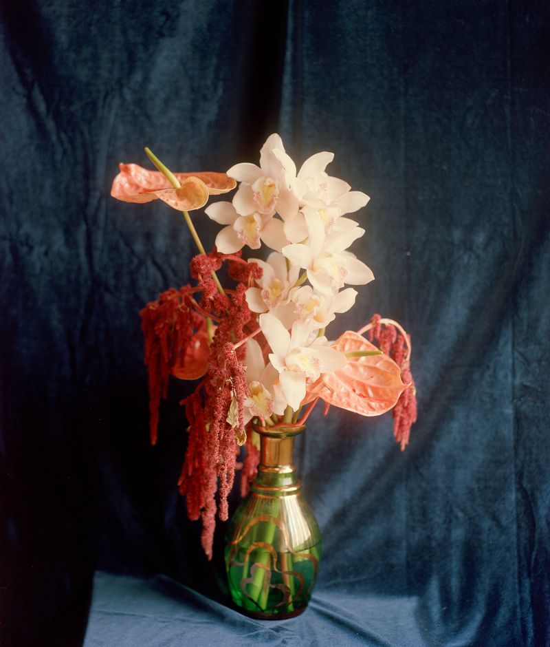© Nikki Greene - A Study of Light and Time on Something Pretty #1, Portra 4x5