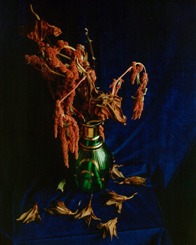 © Nikki Greene - Study of Light and Time on something pretty 3