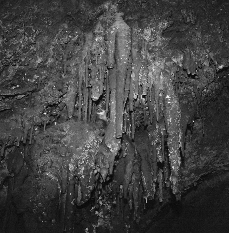 © Nikki Greene - Image from the Hell photography project