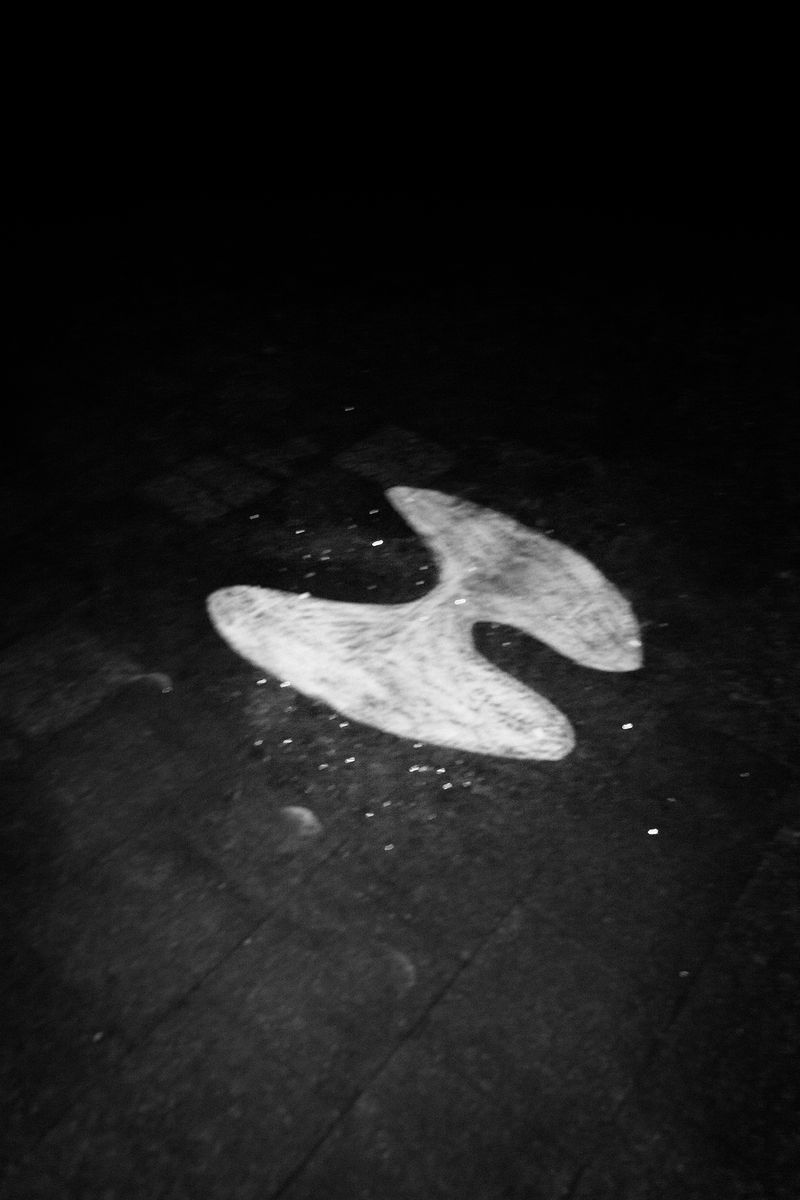 © Sutapa Roy - Image from the Wish my butterfly would live forever photography project