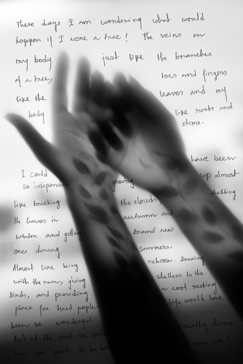 © Sutapa Roy - Image from the Wish my butterfly would live forever photography project