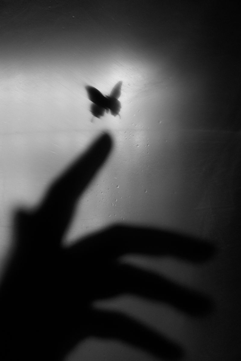 © Sutapa Roy - Image from the Wish my butterfly would live forever photography project