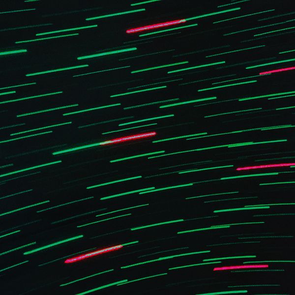 © Alejo Reinoso - Image from the The Claxo M. Project photography project