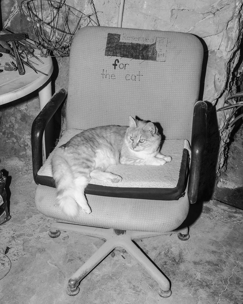 © Antoine Bruy - The Cat, Coober Pedy, Australia, 2016