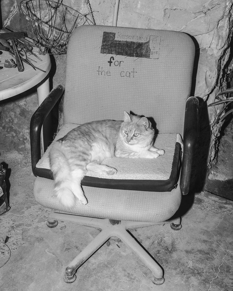 © Antoine Bruy - The Cat, Coober Pedy, Australia, 2016
