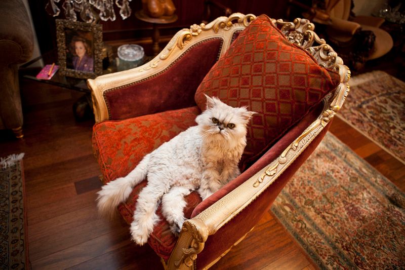 © Natalie Naccache - Image from the Lebanese High Society photography project