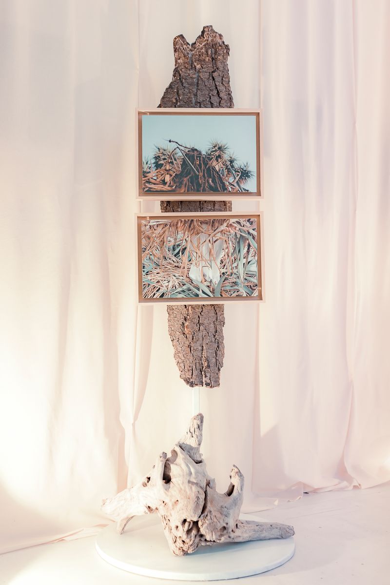 © Alina Usurelu - how photography became an installation in the solo exhibition in Timișoara