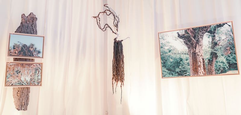 © Alina Usurelu - how photography became an installation in the solo exhibition in Timișoara