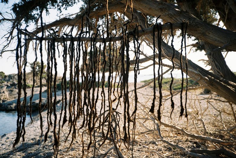 © Alina Usurelu - becoming Shuba