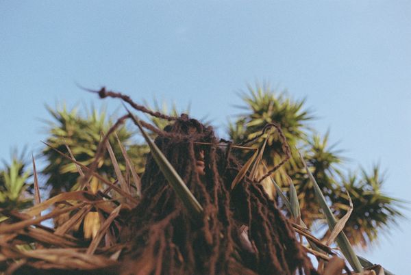 © Alina Usurelu - self portrait - preparing to die in different landscapes - before the durational performance