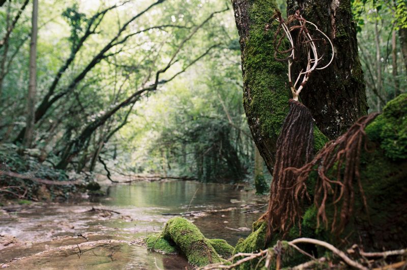 © Alina Usurelu - becoming Shuba