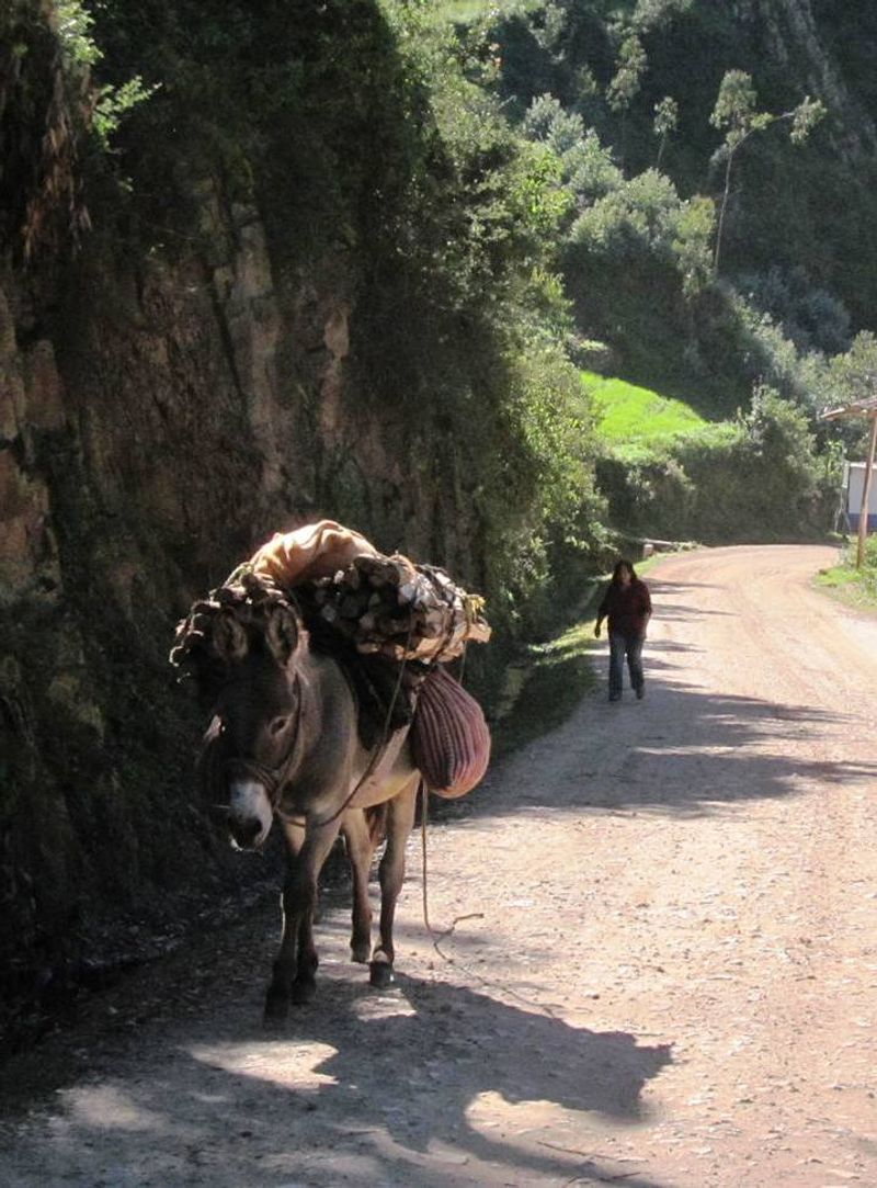 © Karina Orbegozo Lavado - ....de vuelta