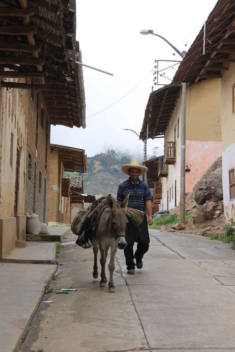 © Karina Orbegozo Lavado - pasito a paso de ida