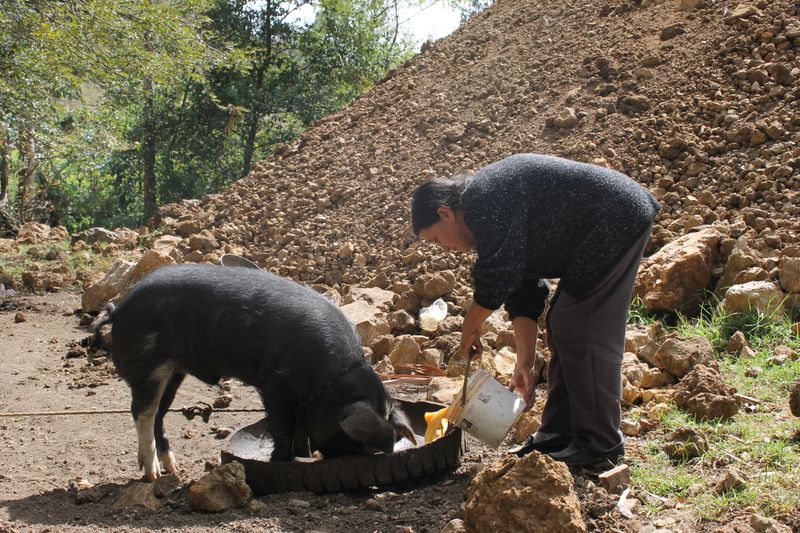 © Karina Orbegozo Lavado - curvando mi espalda