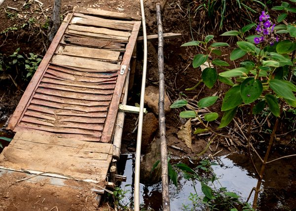 © Thais FES - Image from the "Grande Vizinho Pequeno" photography project