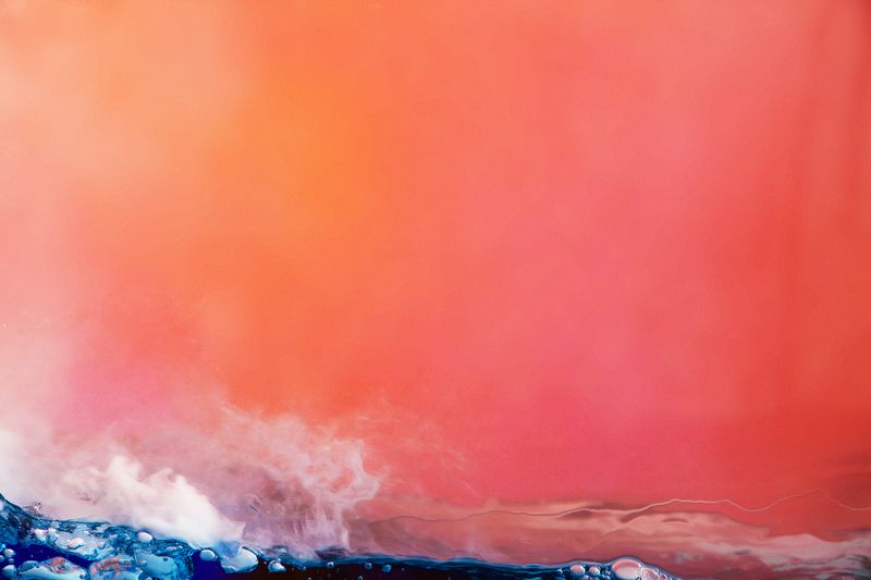 © Christine Atkinson - “Untitled (Tropical) II” Inkjet Print 50” x 33” 2017